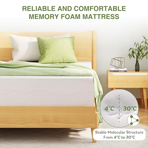 EGOHOME Green Tea Memory Foam Mattress - King Size - White
